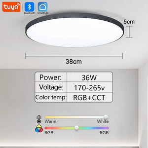 Smart RGB LED Ceiling Light with Bluetooth Speaker