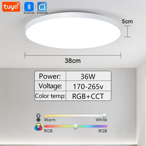 Smart RGB LED Ceiling Light with Bluetooth Speaker
