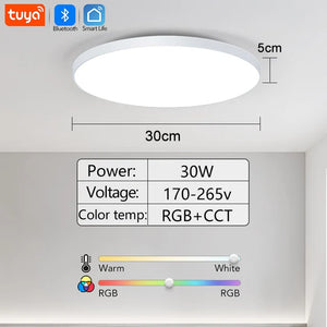 Smart RGB LED Ceiling Light with Bluetooth Speaker